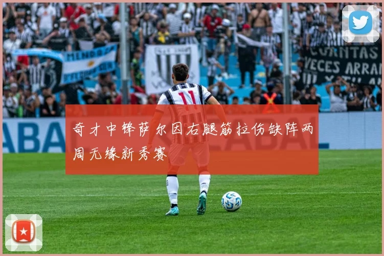 奇才中锋萨尔因右腿筋拉伤缺阵两周无缘新秀赛