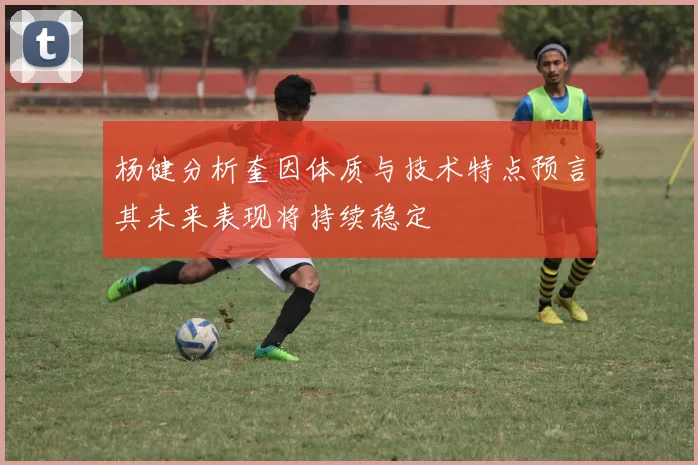 杨健分析奎因体质与技术特点预言其未来表现将持续稳定